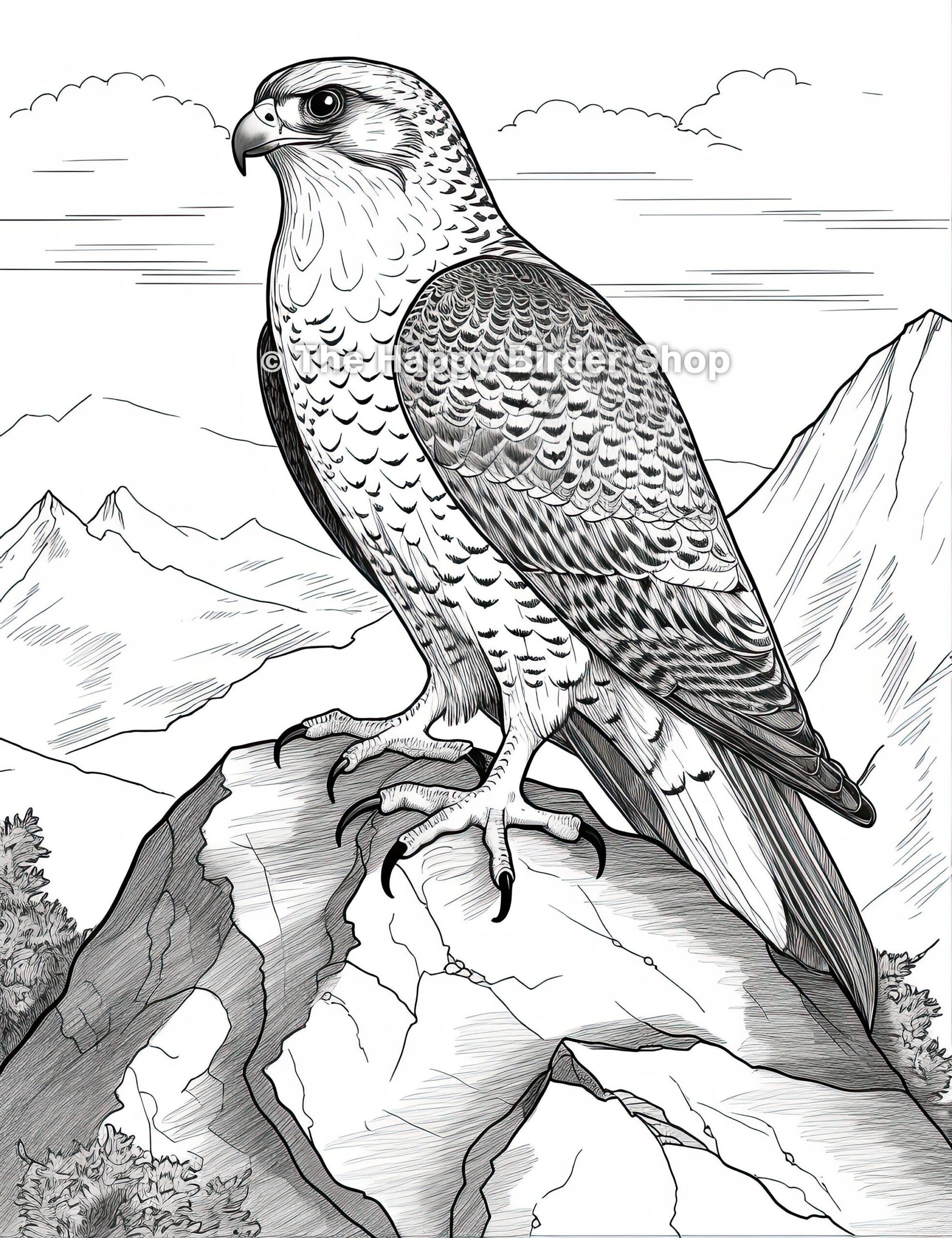 Peregrine Falcon Coloring Page