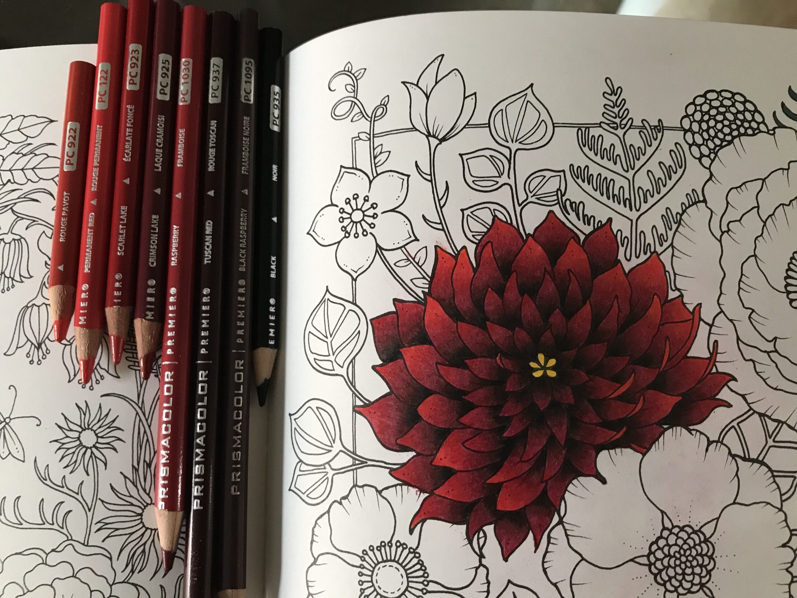 Completed Colored Pencil Pages