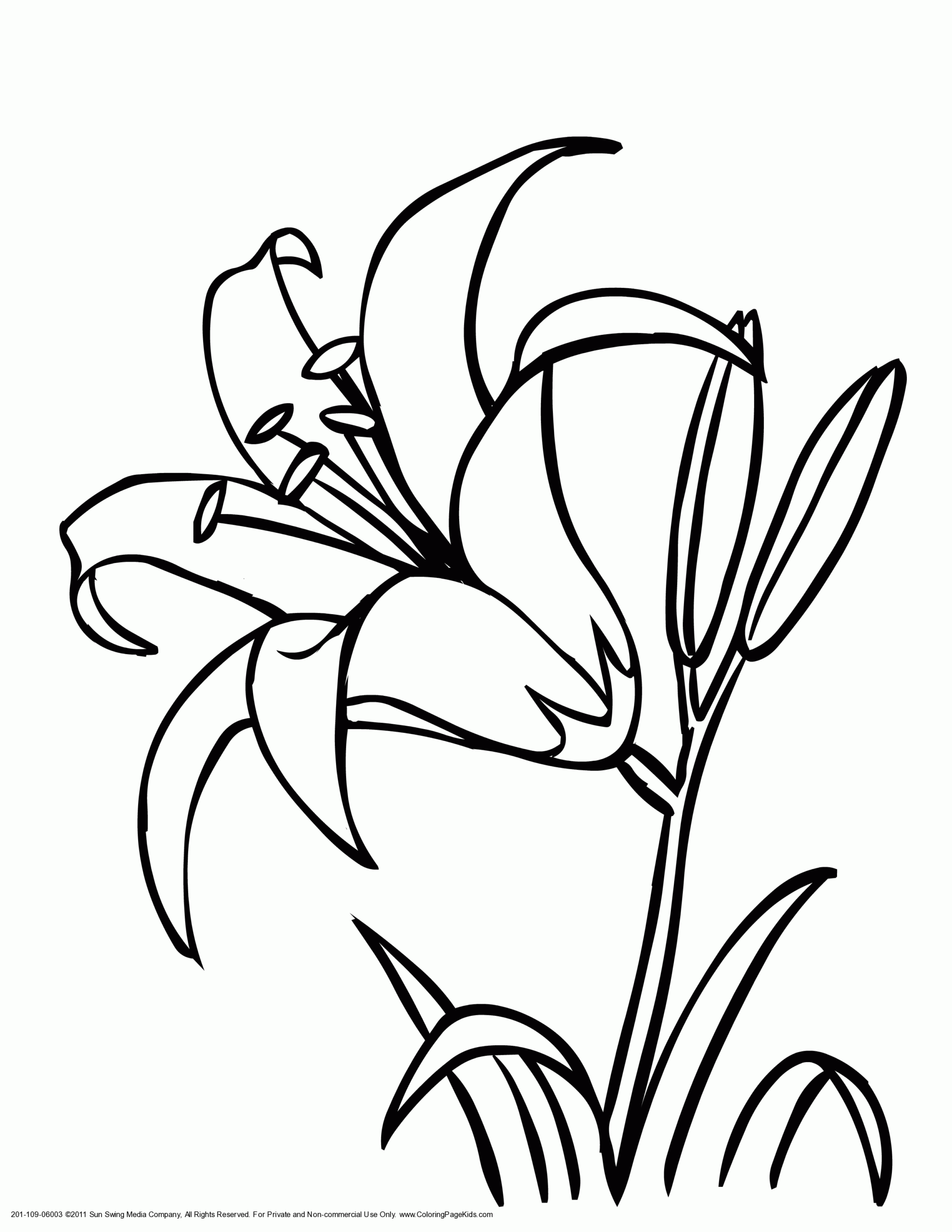 Lily Coloring Page