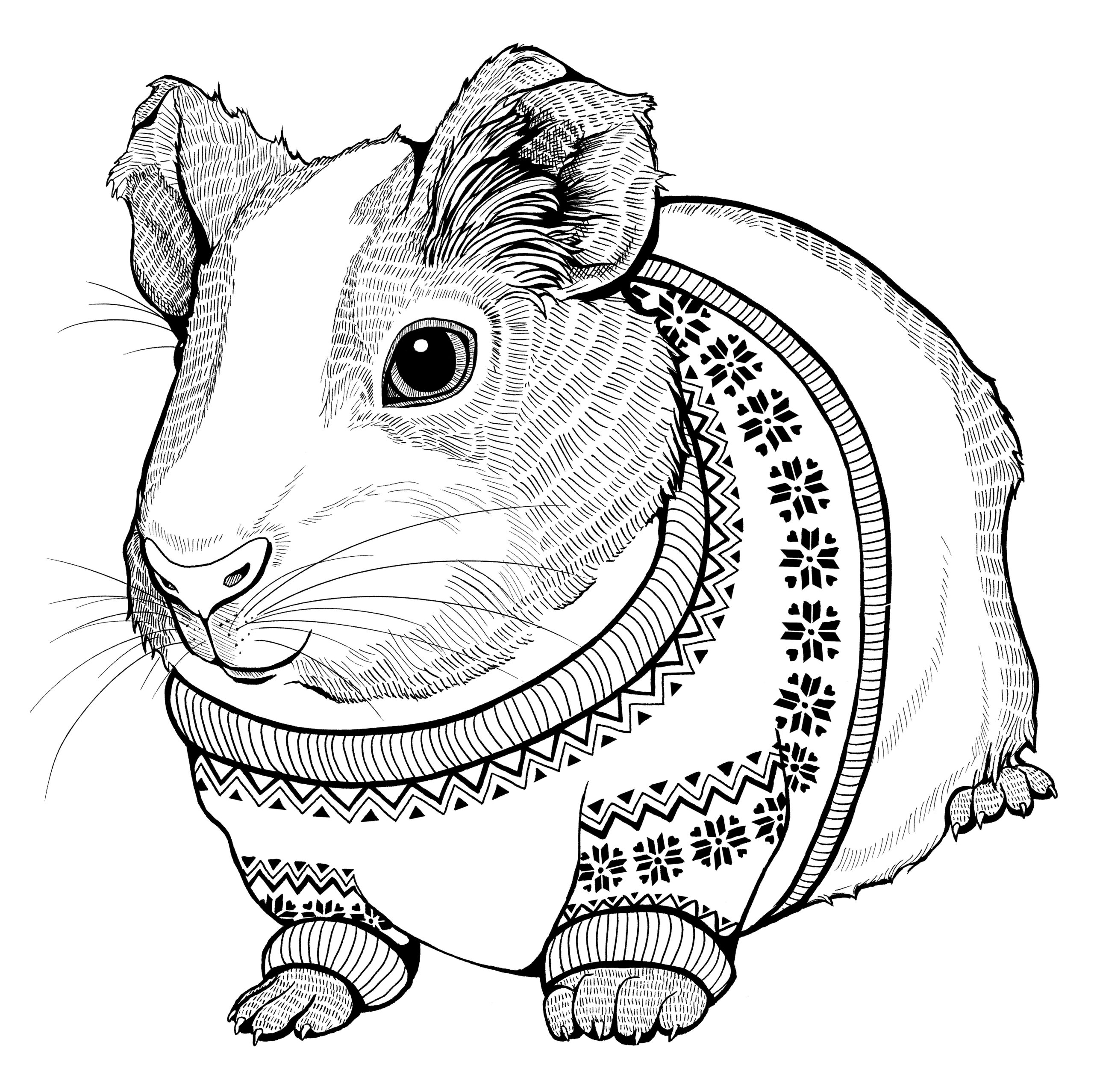 Guinea Pig Coloring Pages