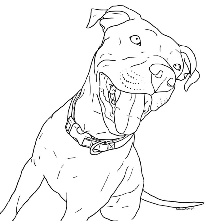 Pitbull Coloring Pages Free Download Educative Printable Dog Coloring Page Puppy Coloring