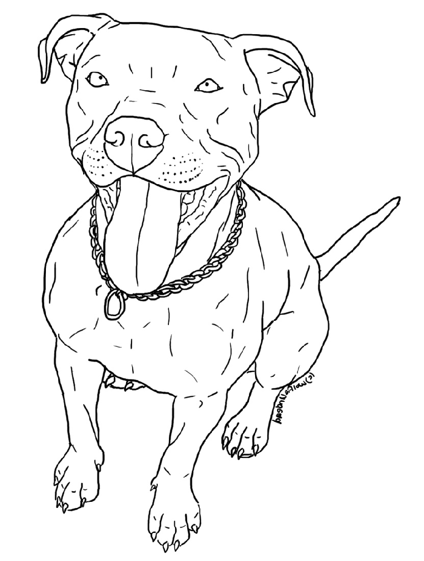 Pitbull Coloring Pages Free Download Educative Printable