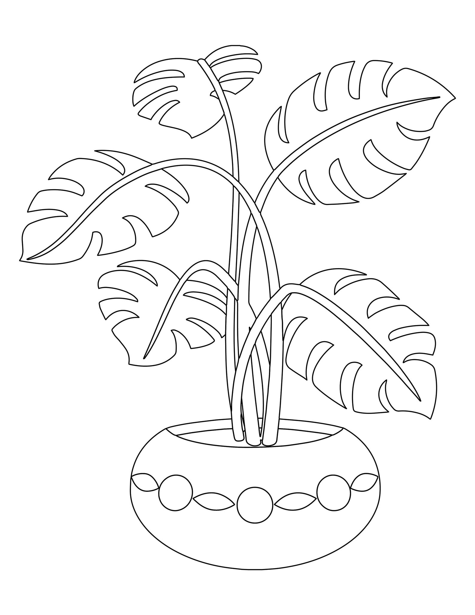 Plant Colouring In Page Etsy