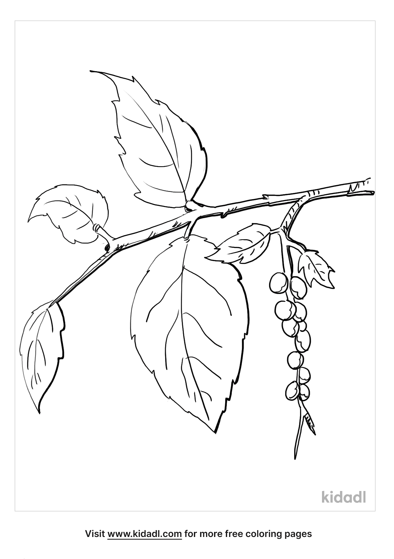 Poison Ivy Coloring Page Free Plants Coloring Page Coloring Nation