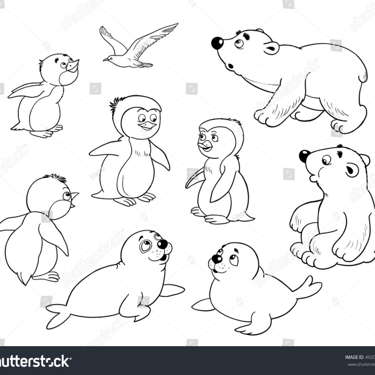 Arctic Animals Coloring Pages