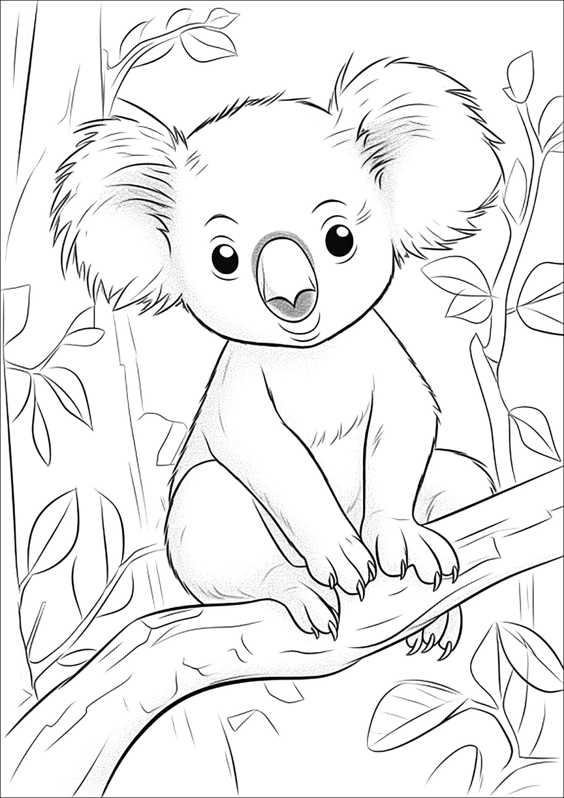 Pretty Koala On A Tree Branch Koalas Coloring Pages For Kids