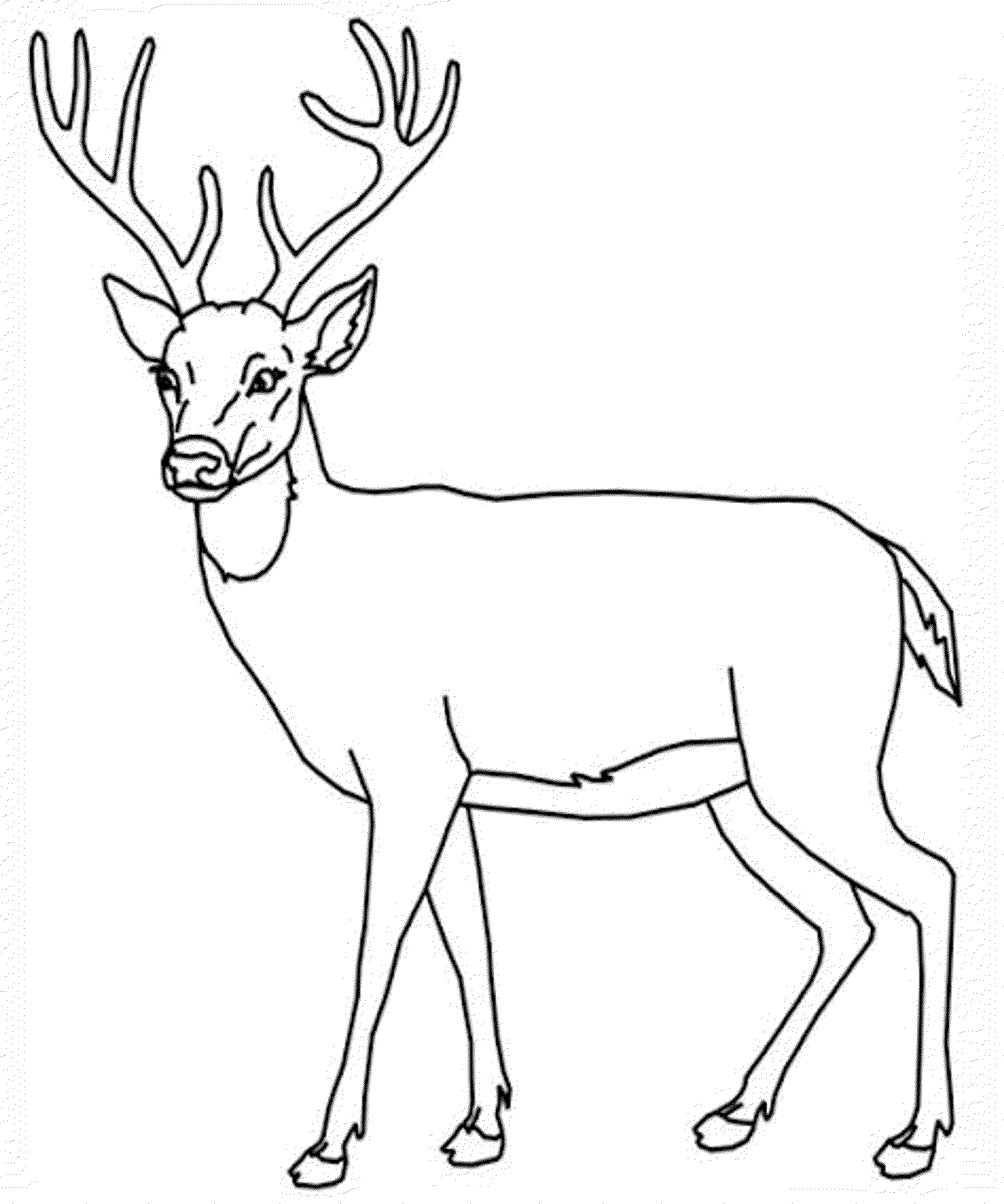 Print Download Deer Coloring Pages For Totally Enjoyable Leisure Time Activity