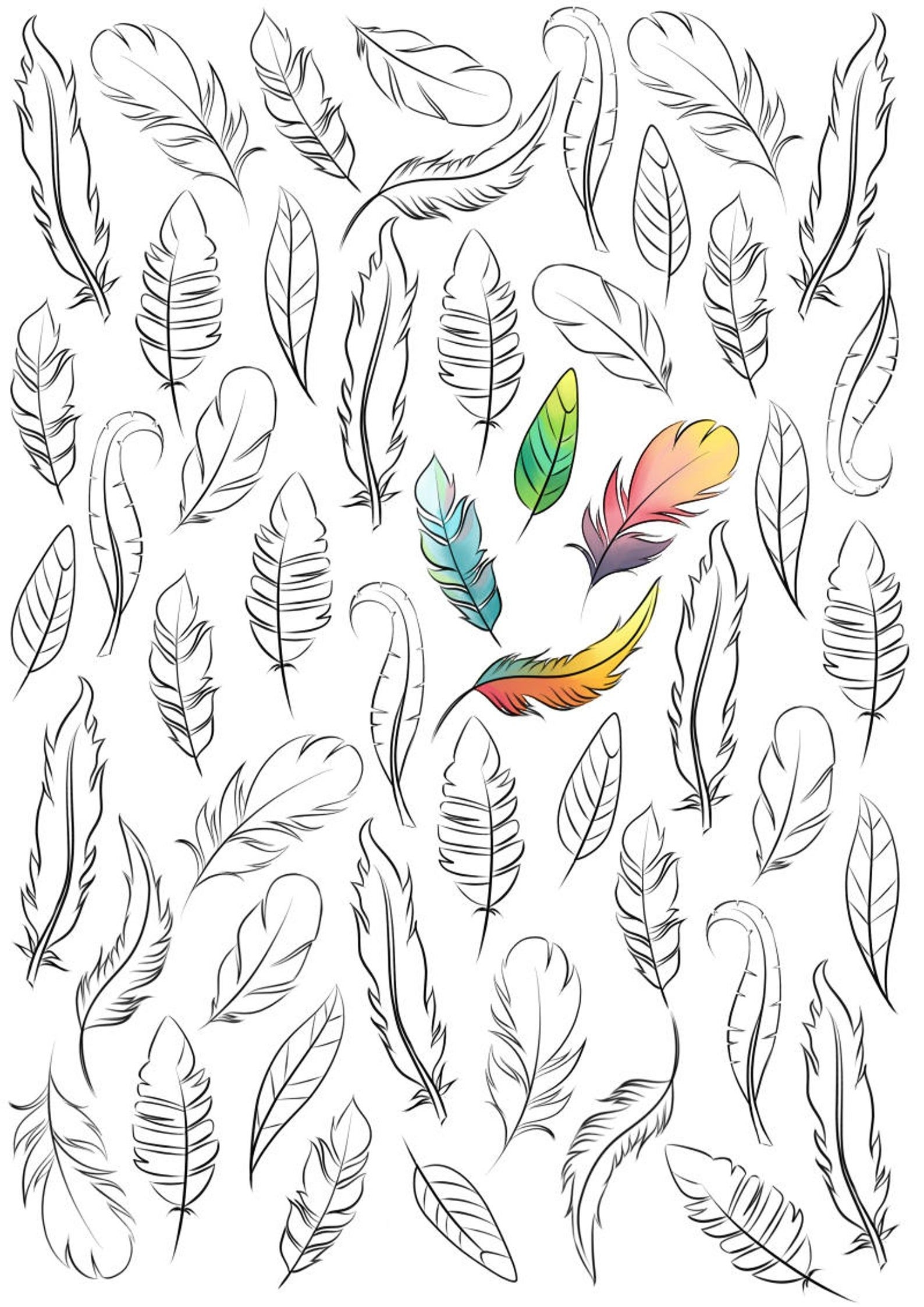 Printable Adult Coloring Pages Feather Coloring Pages