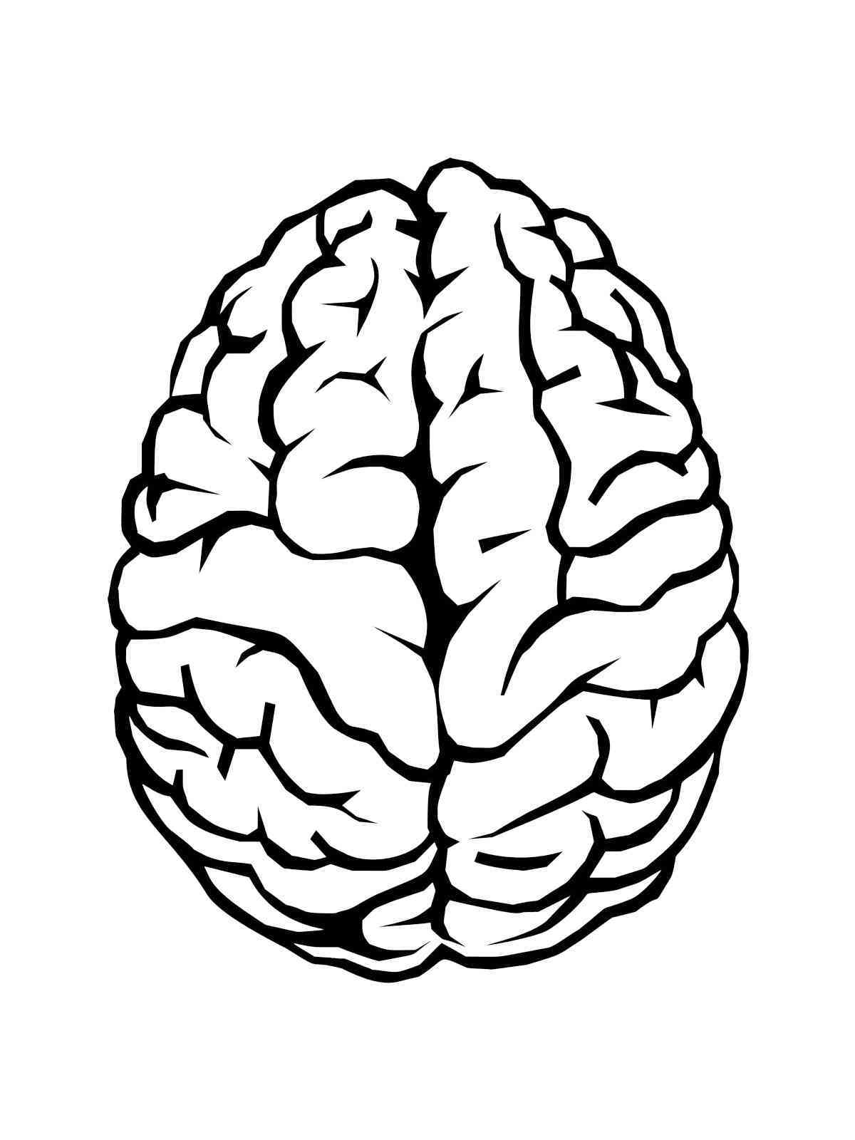 Printable Brain Coloring Page