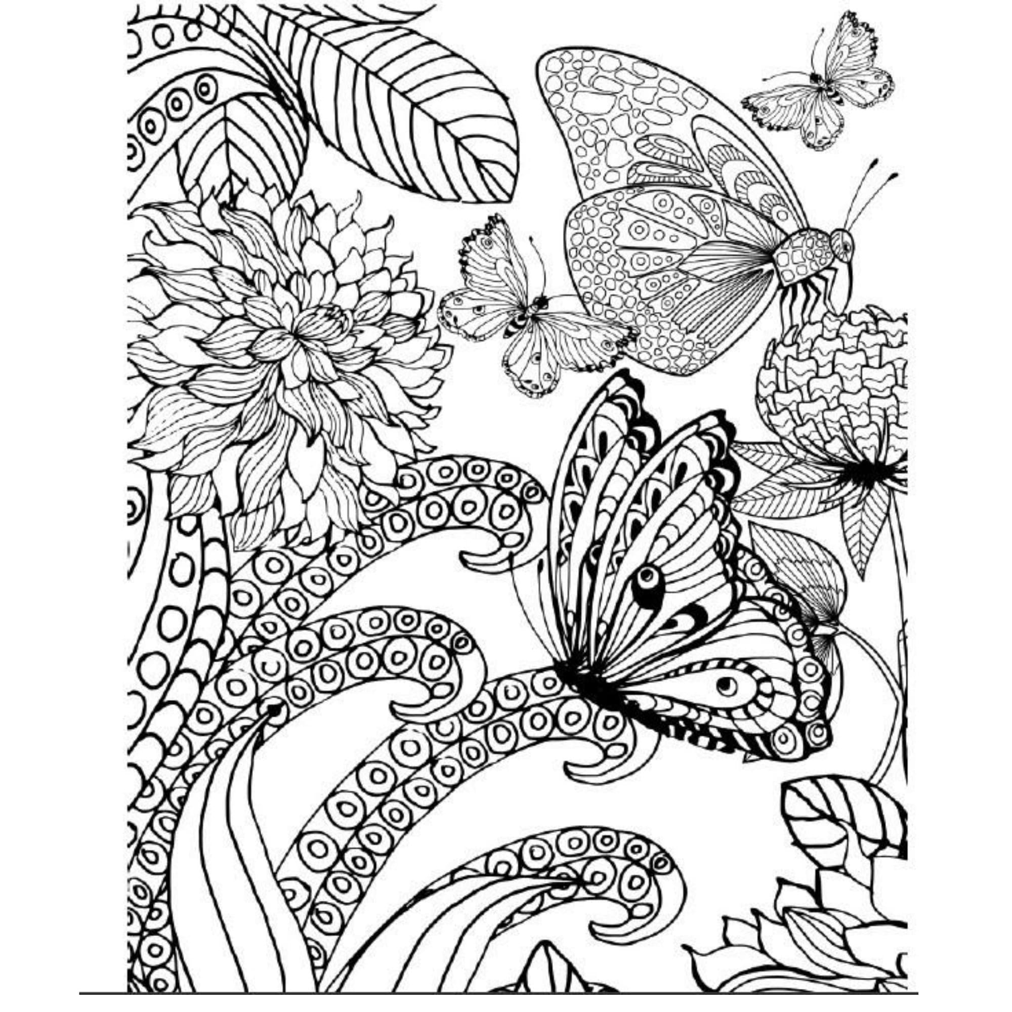 Printable Butterfly Adult Coloring Book PDF Stress Relief Printable Butterfly Adult Coloring
