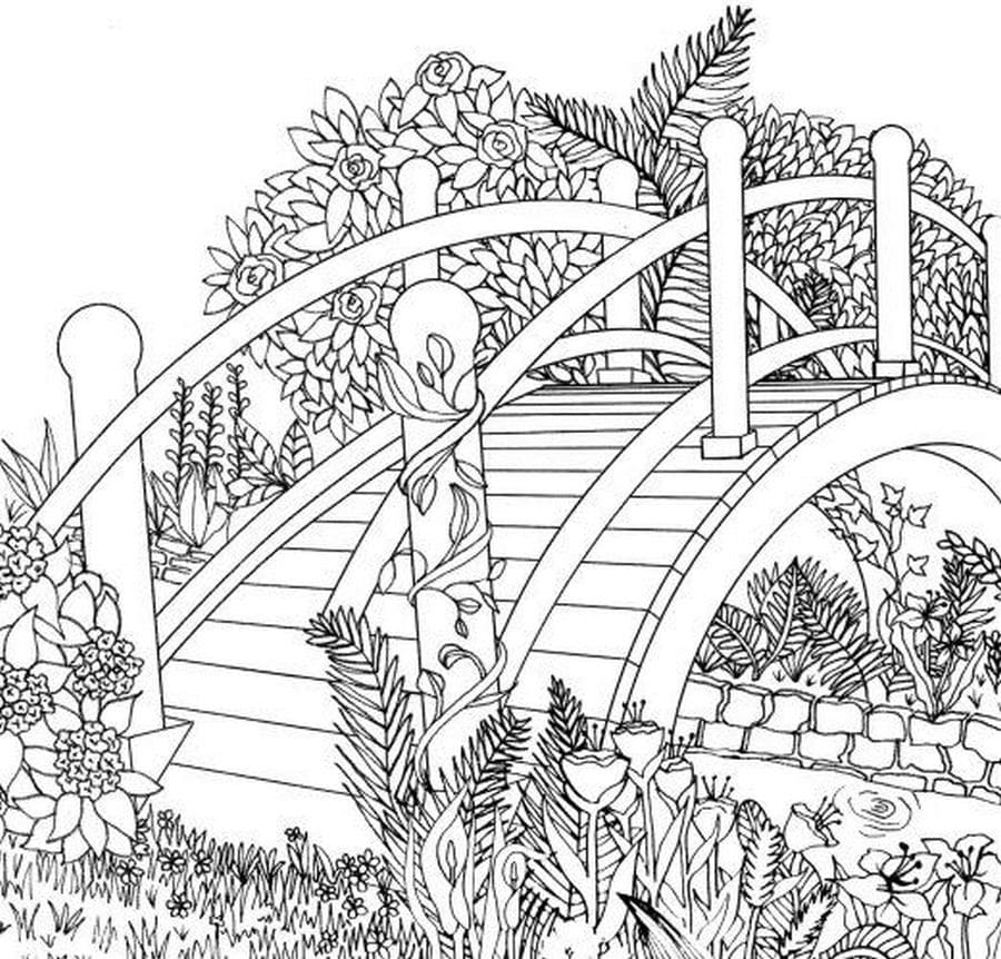Nature Coloring Pages For Adults