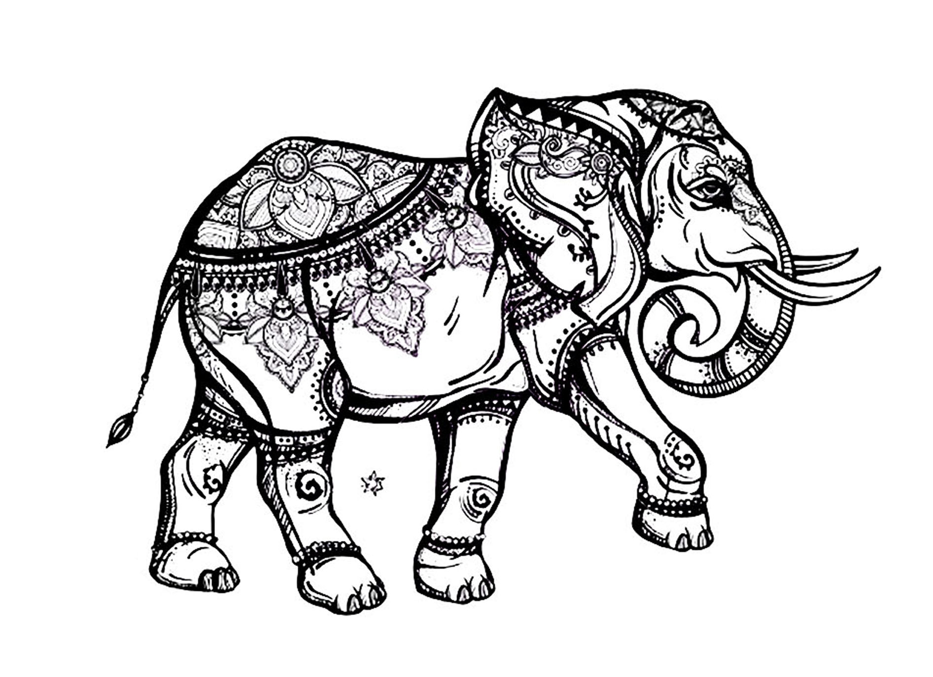 Printable Elephant Coloring Pages For Adults Stephenson