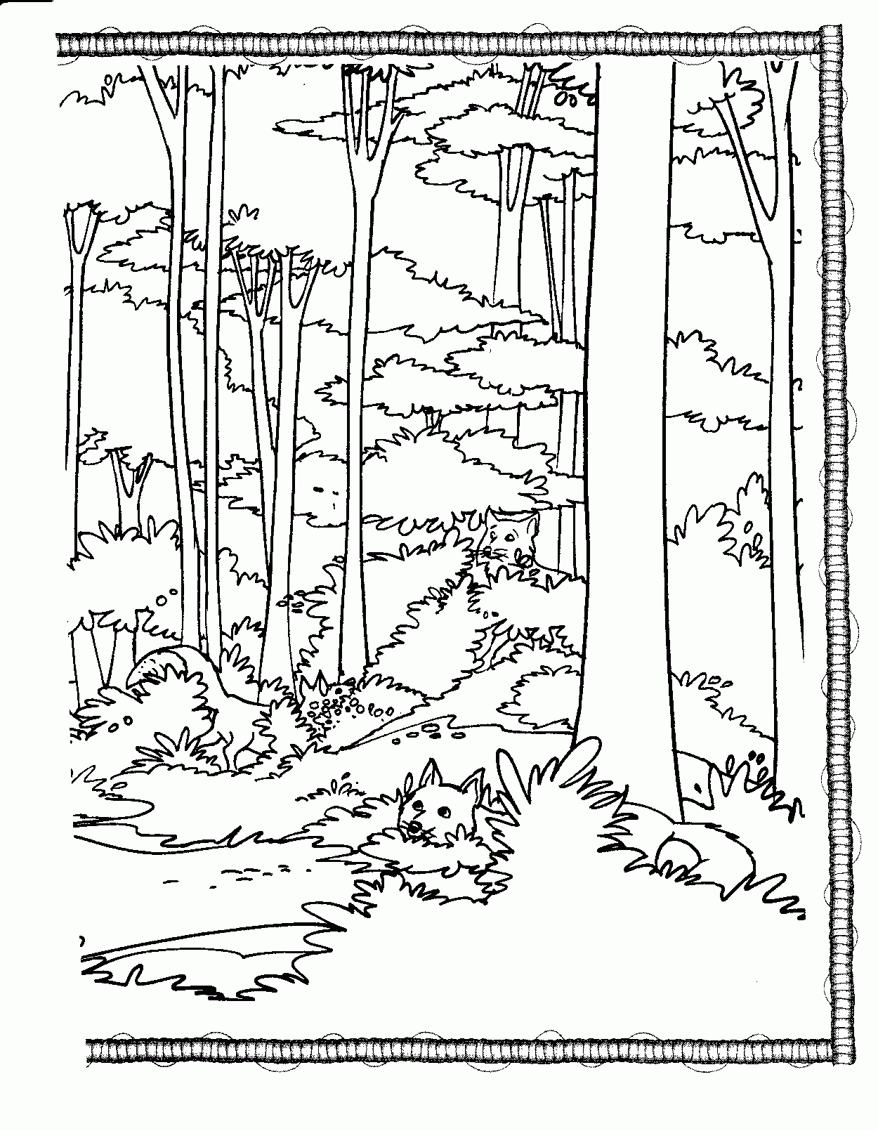 Printable Forest Coloring Pages