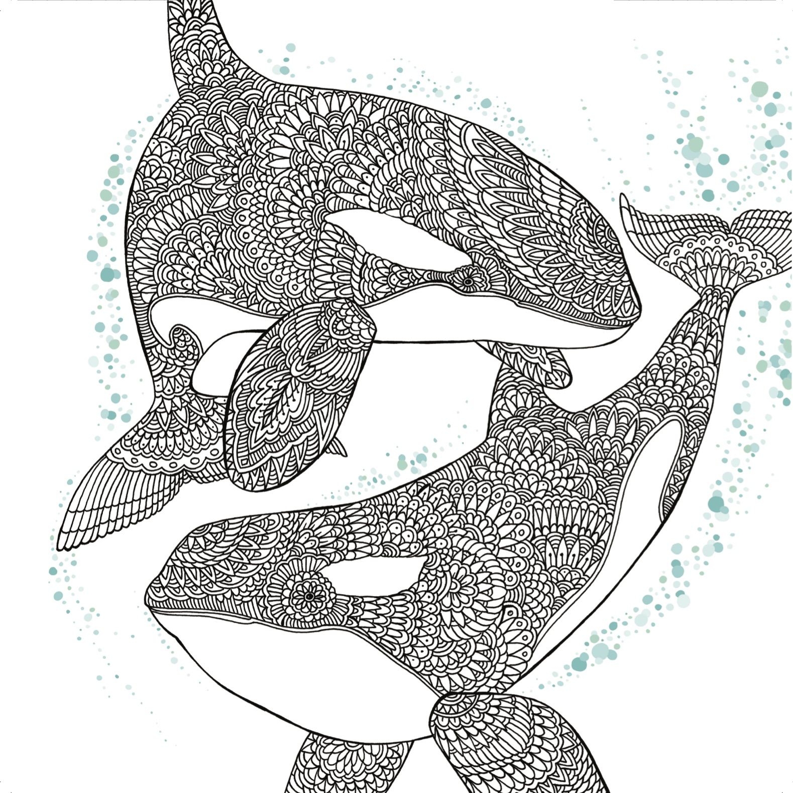 Printable Killer Whale Coloring Pages Kidsworksheetfun