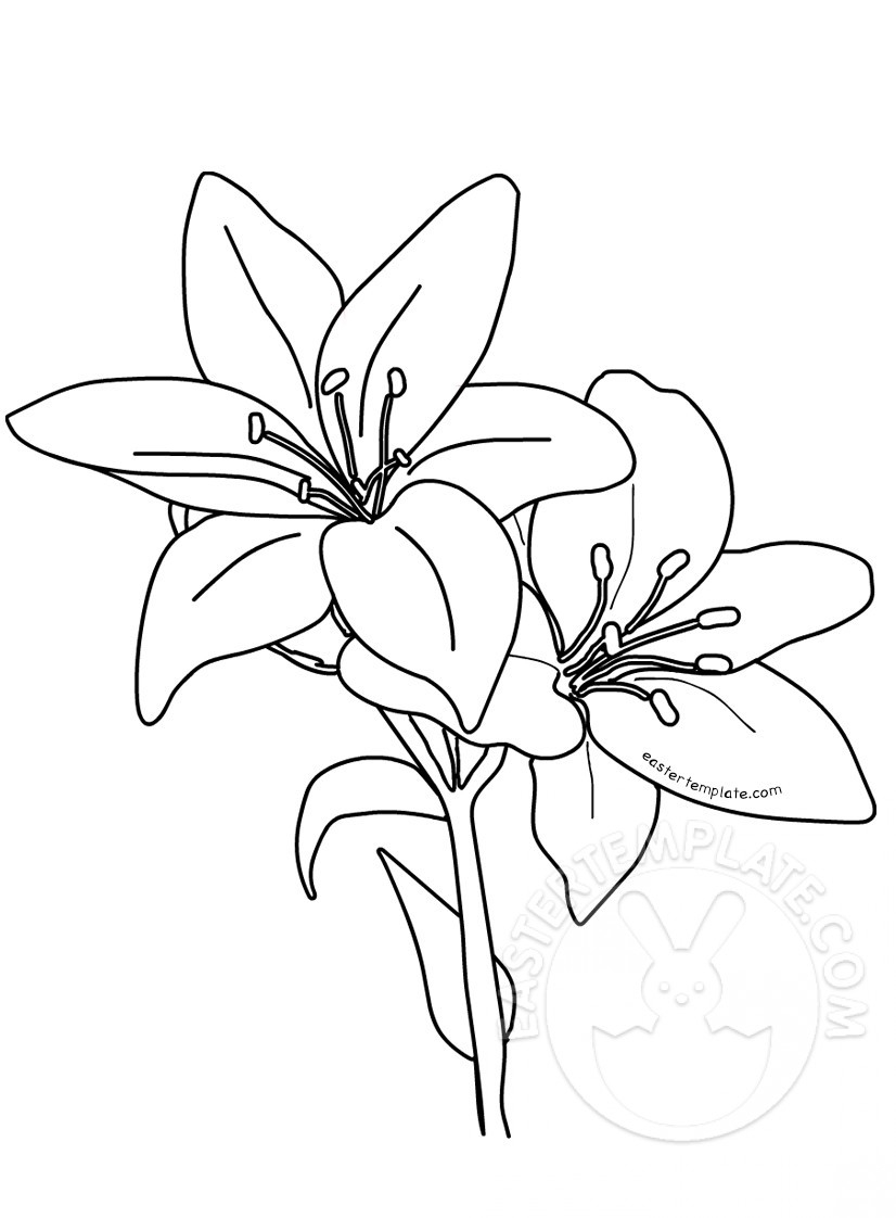 Lily Coloring Pages Printable