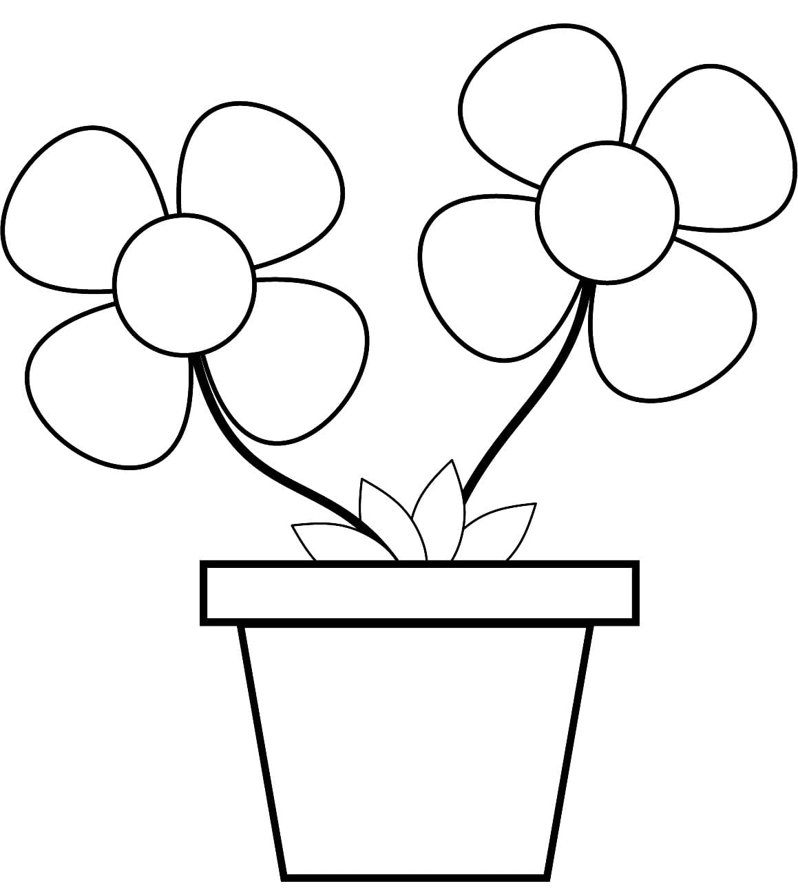 Printable Lovely Flower Pot Coloring Page Download Print Or Color Online For Free