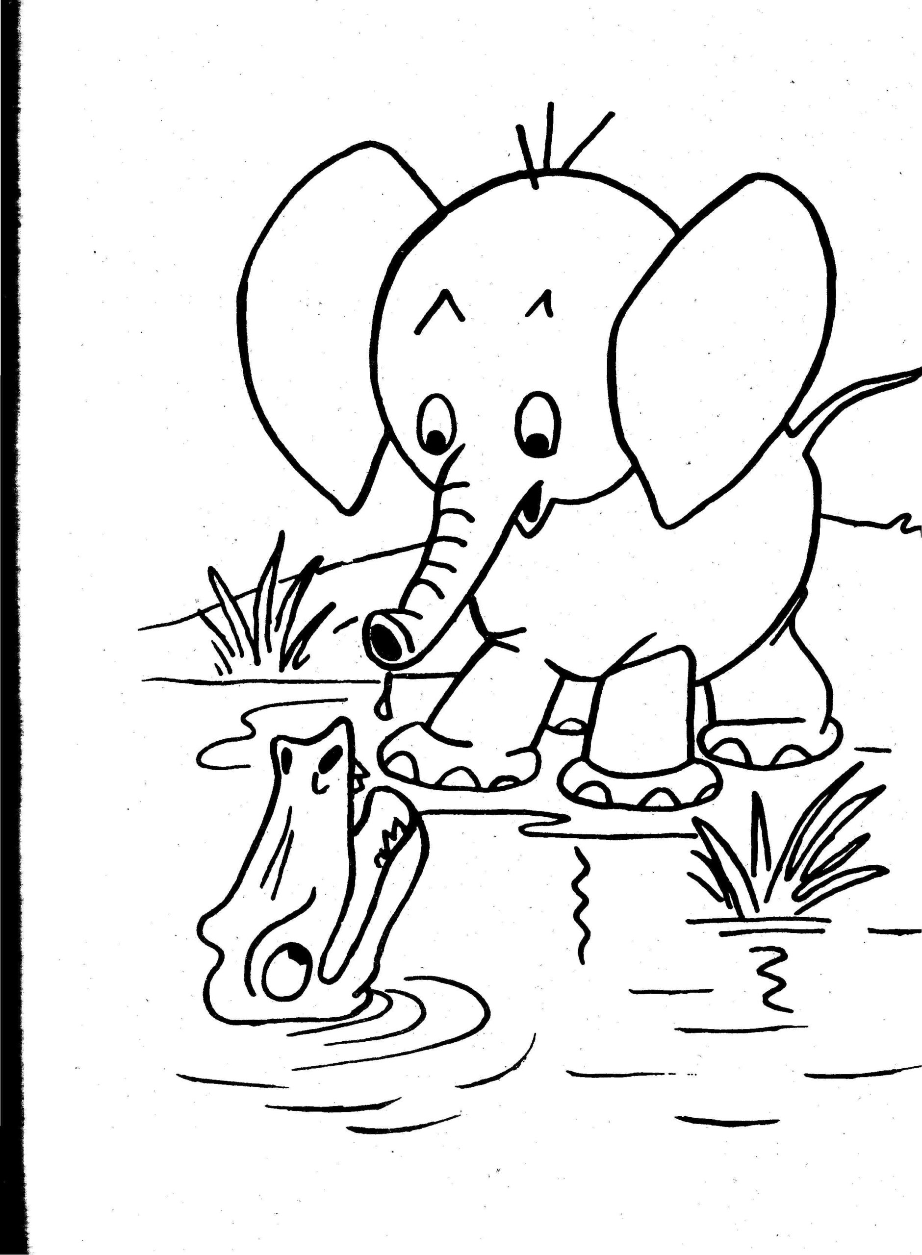 Printable Realistic Animal Coloring Pages At GetColorings Free Printable Colorings Pages