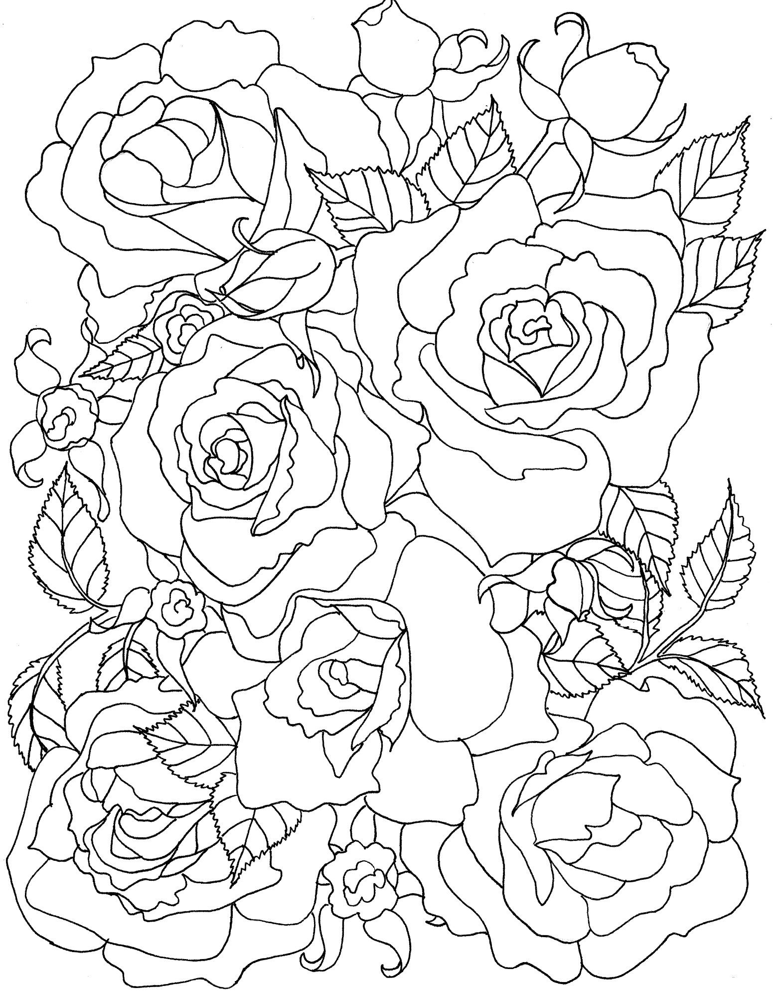 Printable Rose Coloring Pages For Adults Hannah Thoma S Coloring Pages