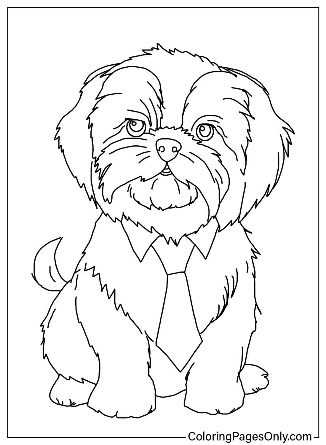 Printable Shih Tzu Color Pages