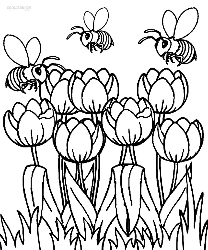 Printable Tulip Coloring Pages For Kids Cool2bKids