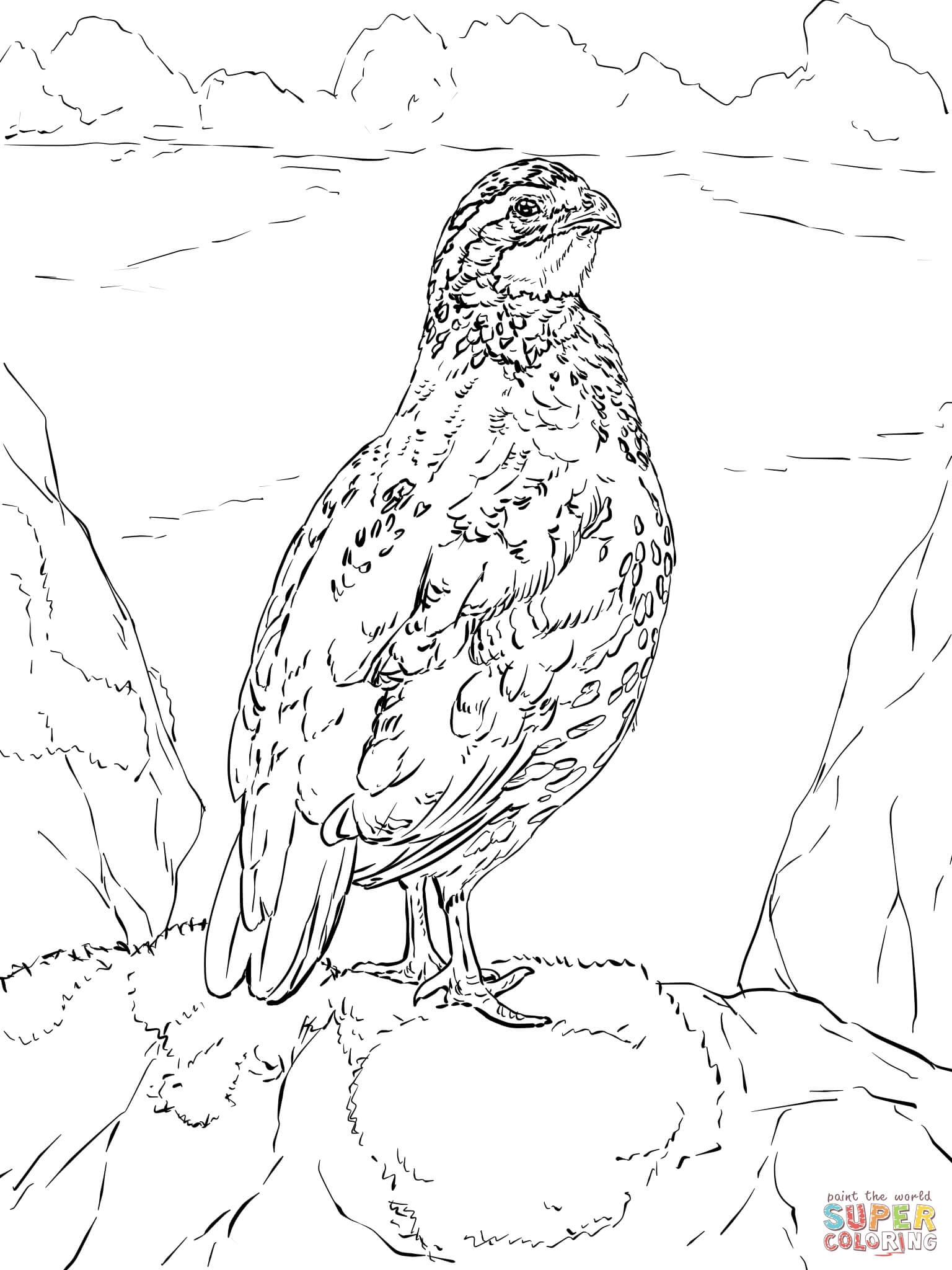 Quail Coloring Page