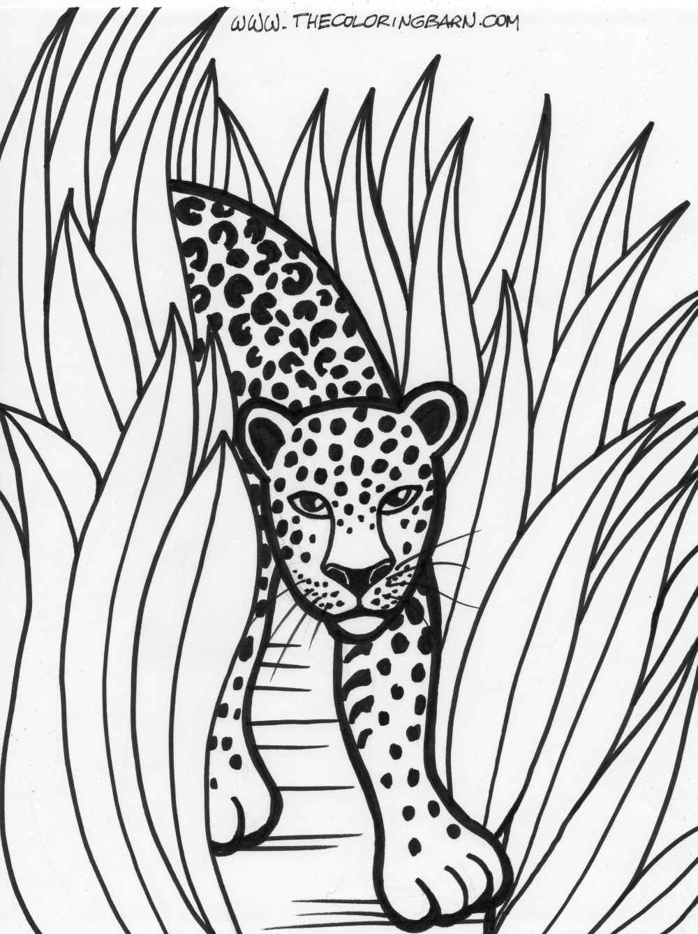 Rain Forest Trees Coloring Page Coloring Home