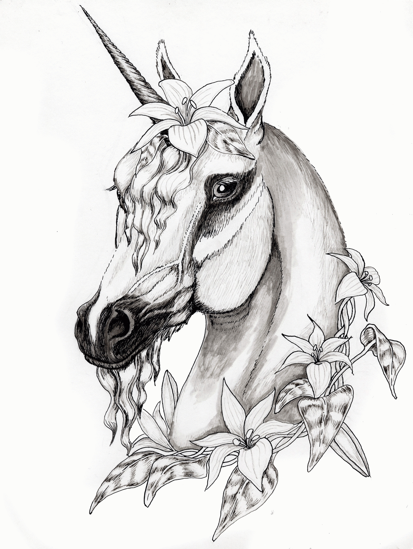 Realistic Unicorn Coloring Pages Pikolce