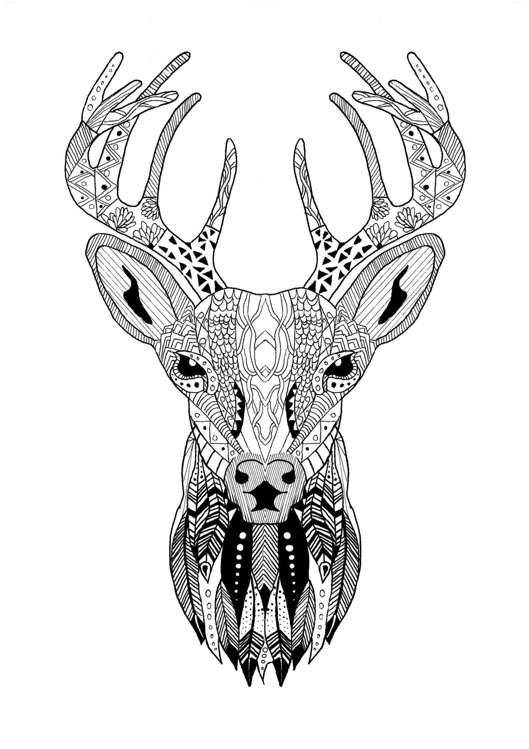 Reindeer Coloring Pages For Adults Cartoon Characters