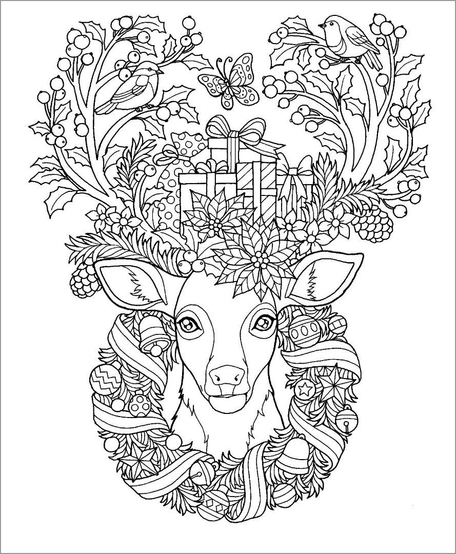 Reindeers Coloring Pages ColoringBay