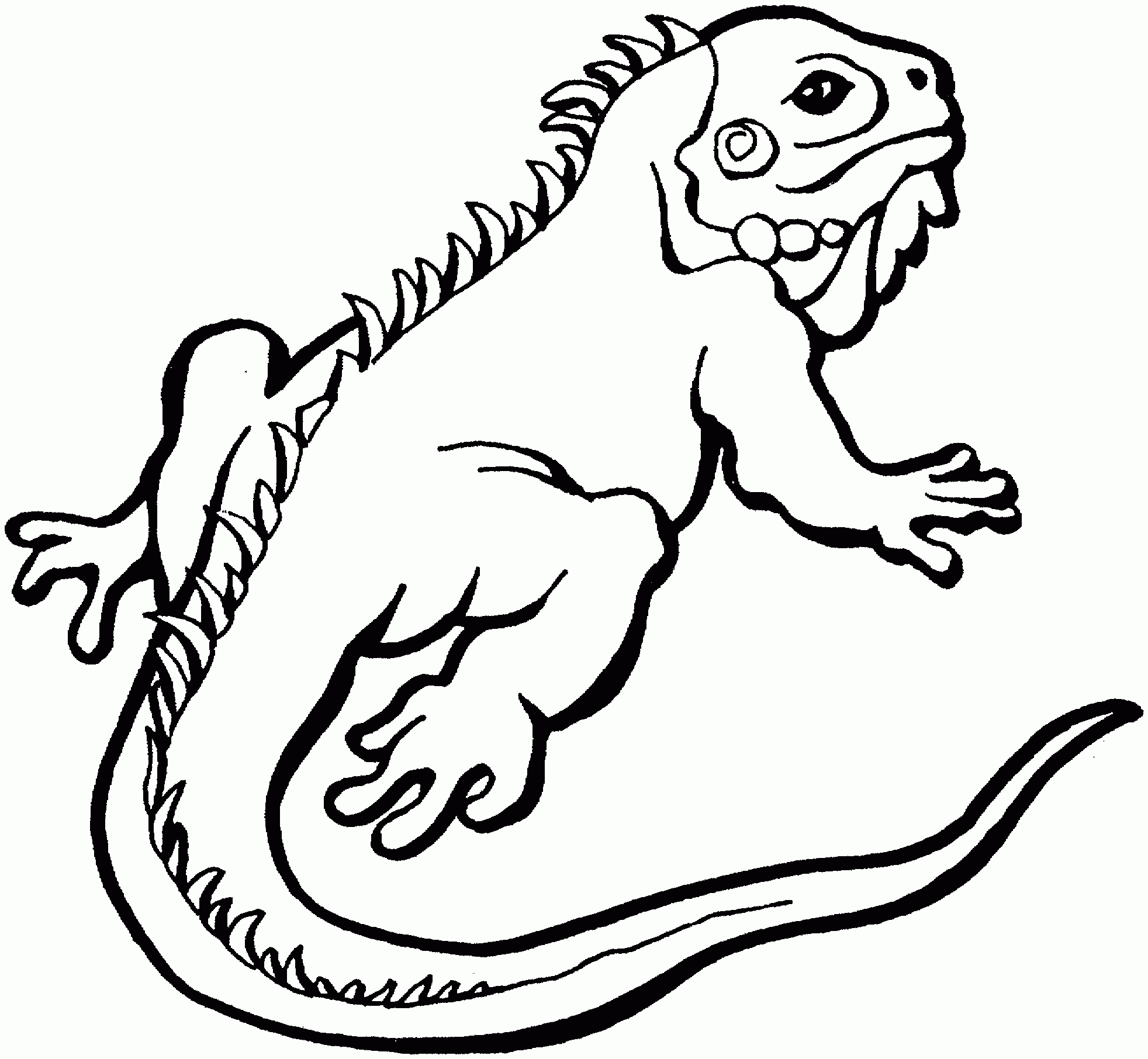 Reptile Coloring Pages Best Coloring Pages For Kids