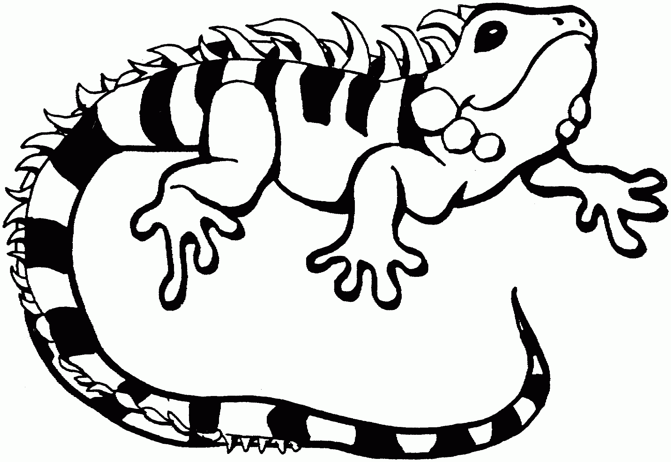 Reptile Coloring Pages To Download And Print For Free
