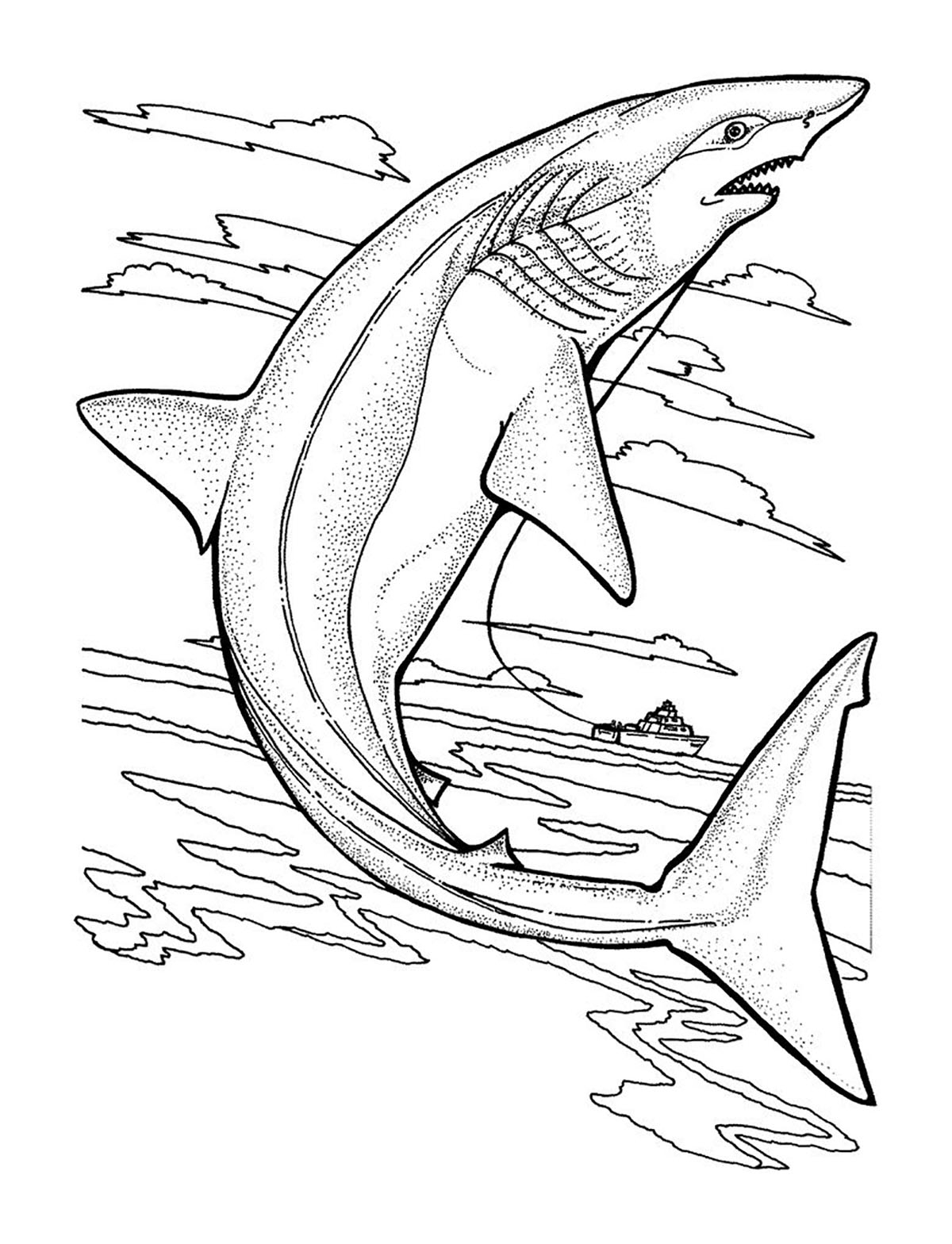Requin Shark Coloring Pages For Kids
