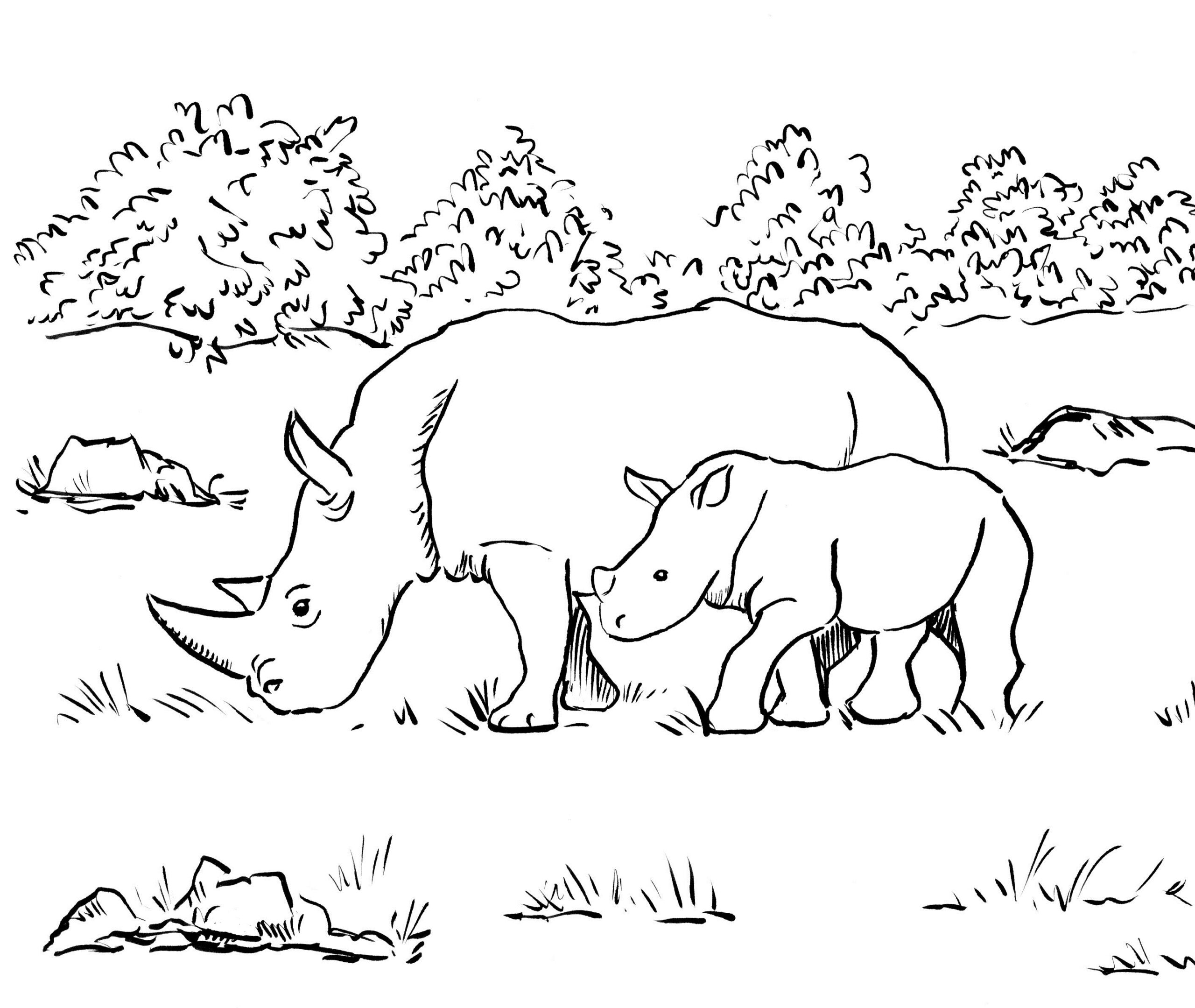 Rhino Coloring Page Art Starts