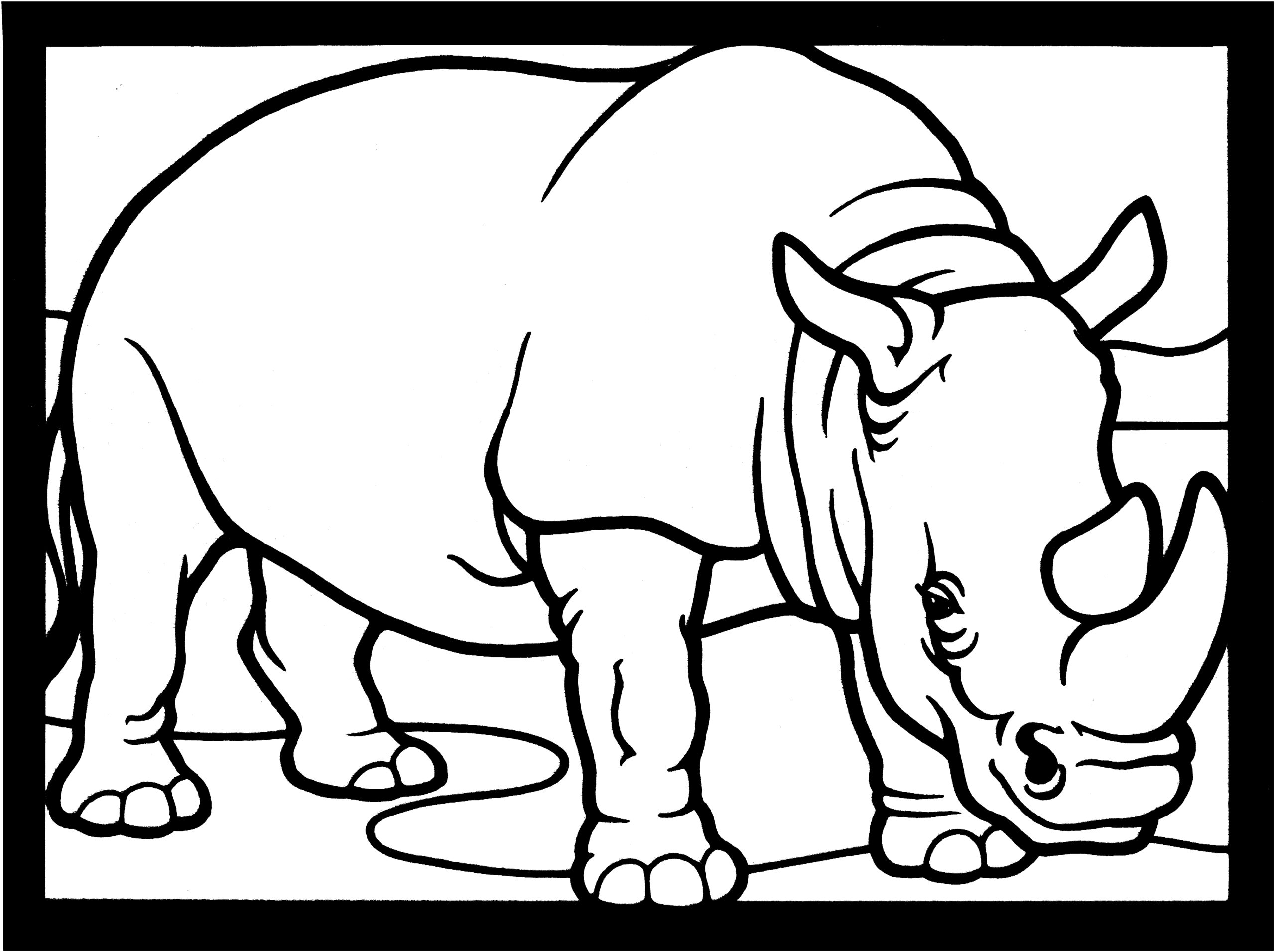 Rhinoceros Coloring Pages At GetColorings Free Printable Colorings Pages To Print And Color
