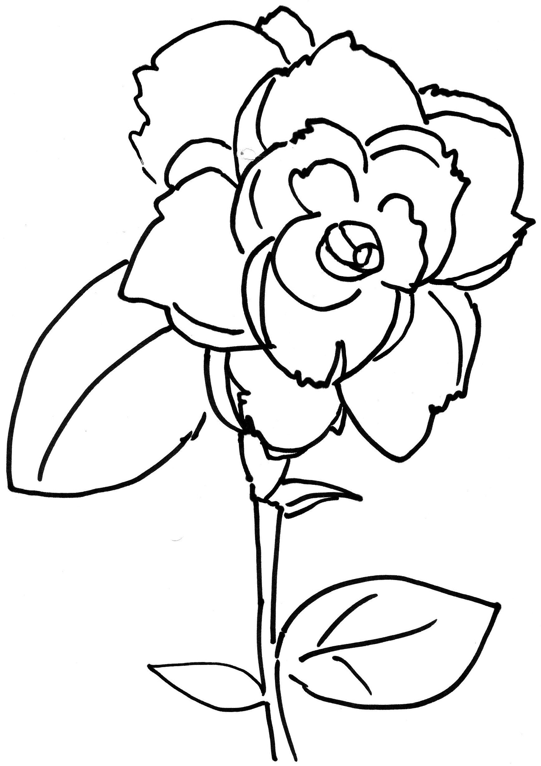 Rose Bud Coloring Page Coloring Pages