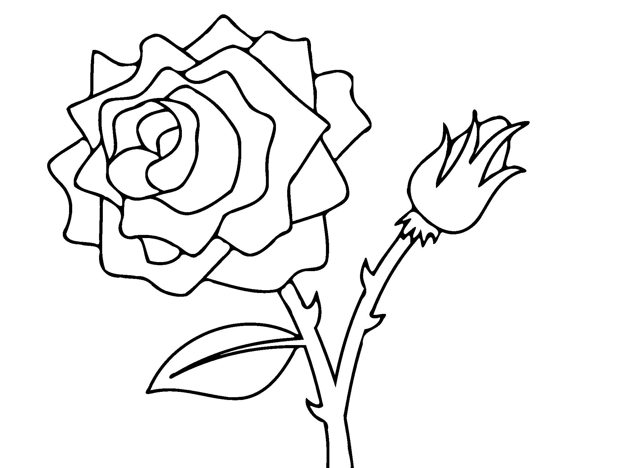 Rose Bud Coloring Pages At GetColorings Free Printable Colorings Pages To Print And Color