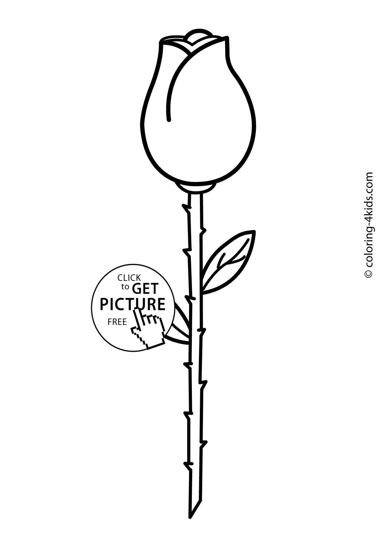 Rose Bud Flower Coloring Pages For Kids Printable Free Flower Coloring Sheets Rose Coloring