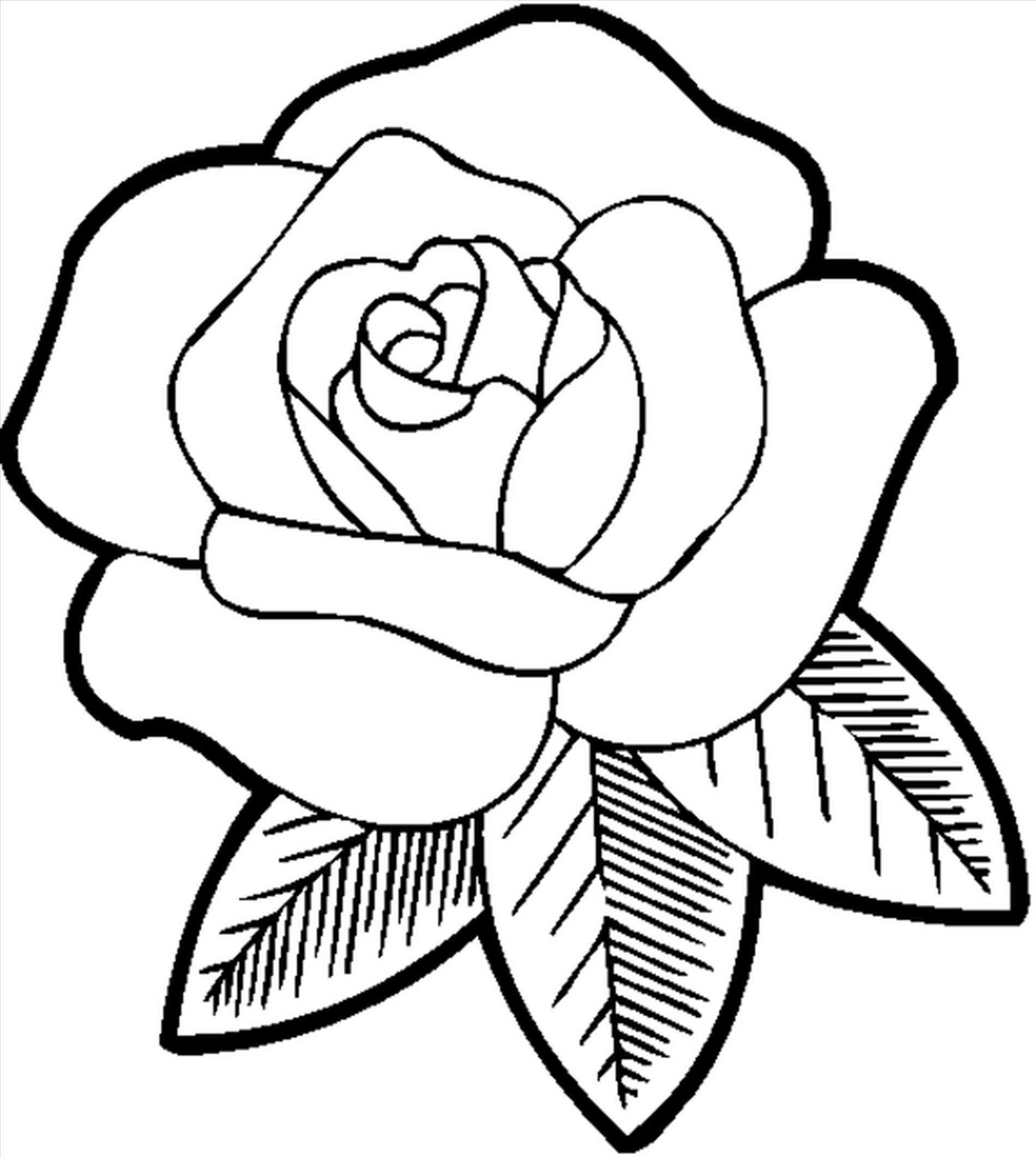 Rose Outline With Rose Drawing Outline Coloring Pages Jpg Clipartix