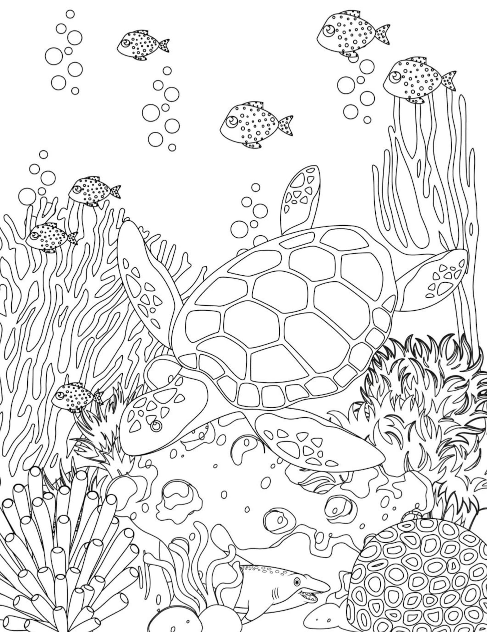 Sea Life 10 Printable Coloring Pages Digital Download Fun Etsy