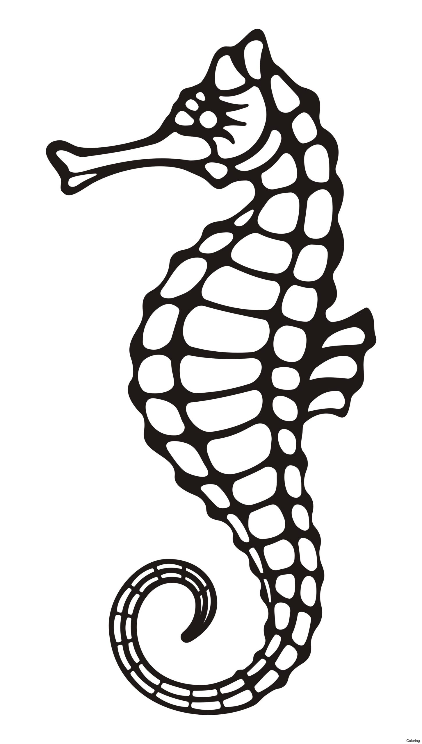 Seahorse Drawing At GetDrawings Free Download