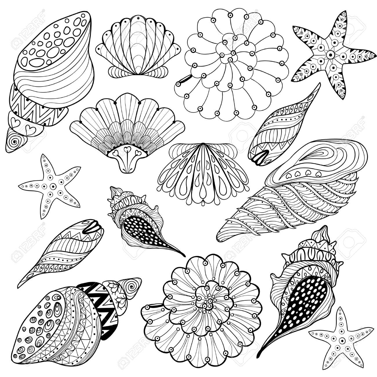 Seashell Coloring Page At GetColorings Free Printable Colorings Pages To Print And Color