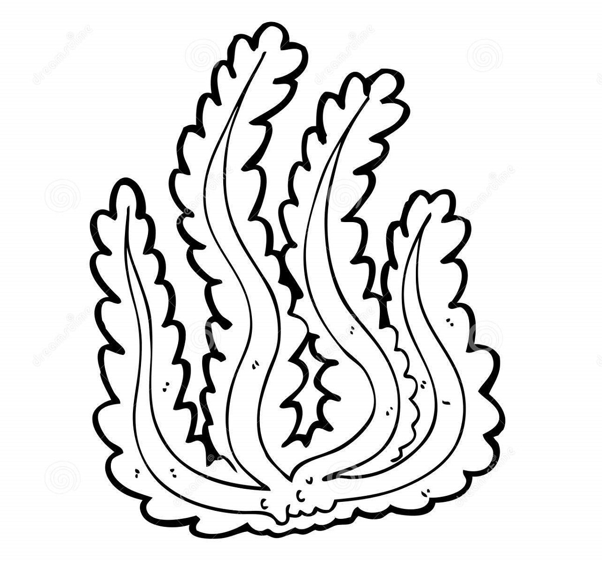 Seaweed Coloring Pages Three Educative Printable