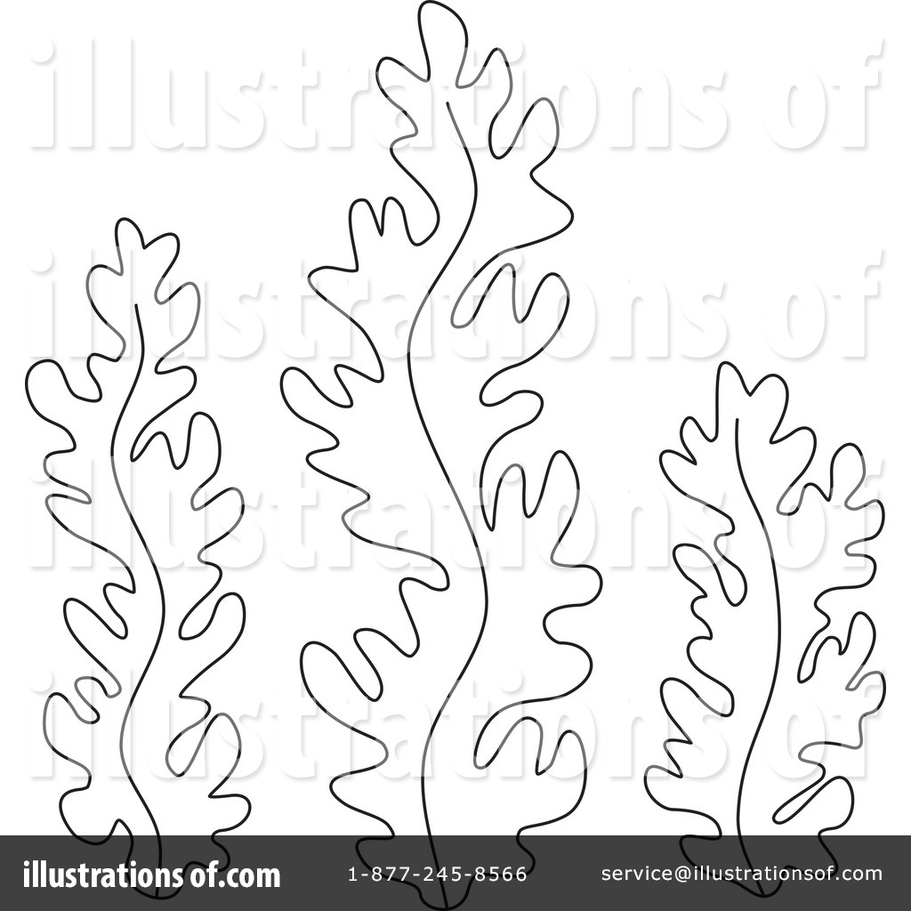 Seaweed Coloring Pages To Download And Print For Free
