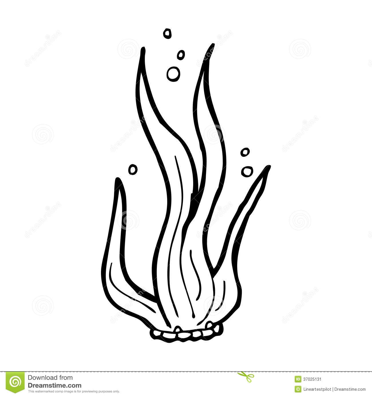 Seaweed Coloring Pages Printable