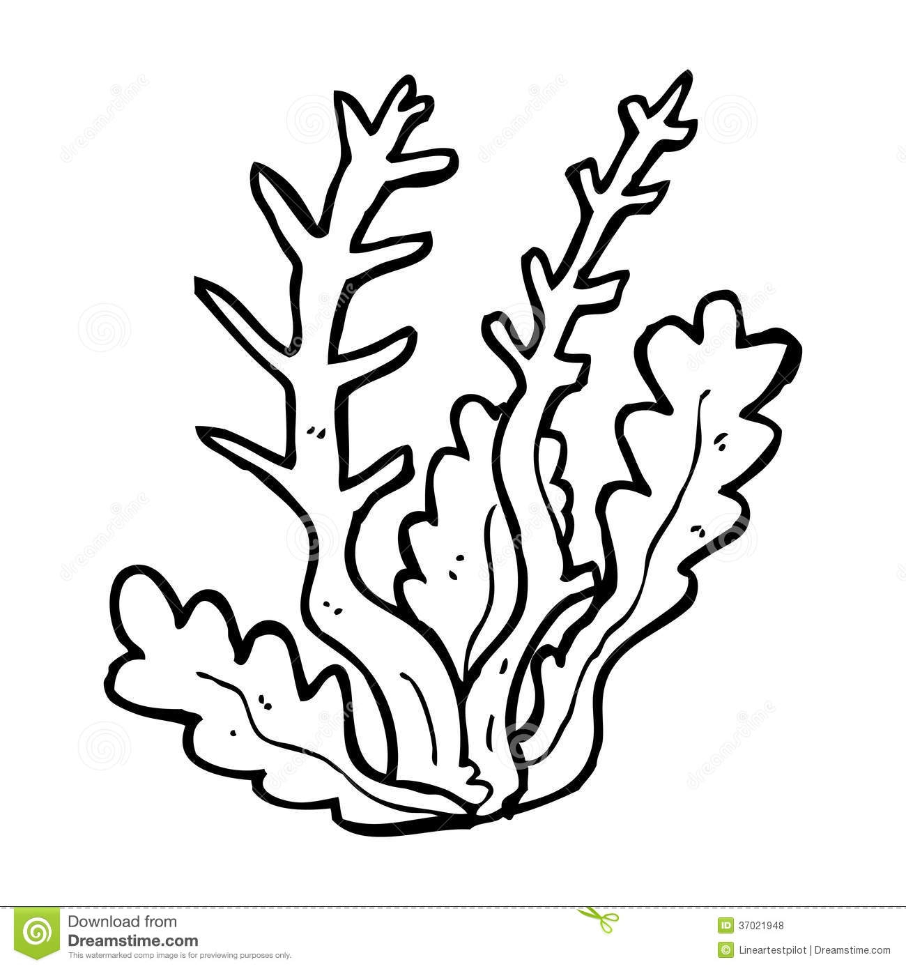 Seaweed Coloring Pages To Download And Print For Free