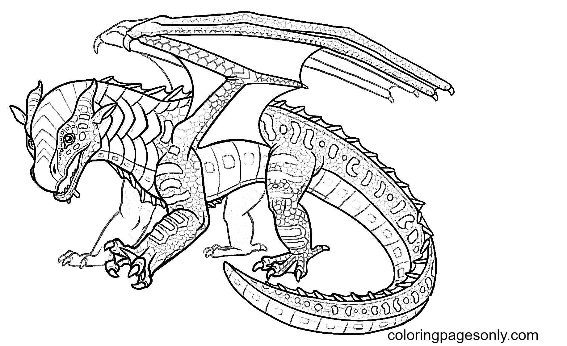 Seawing Lineart F2u Wof Leafwing Sketch Coloring Page