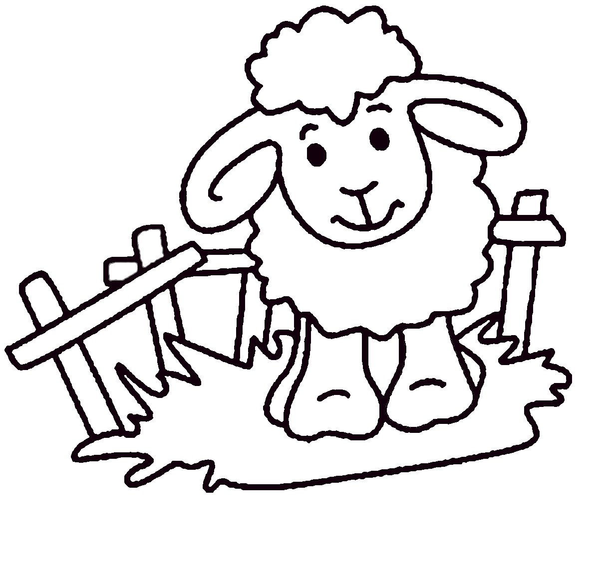 Sheep Coloring Page