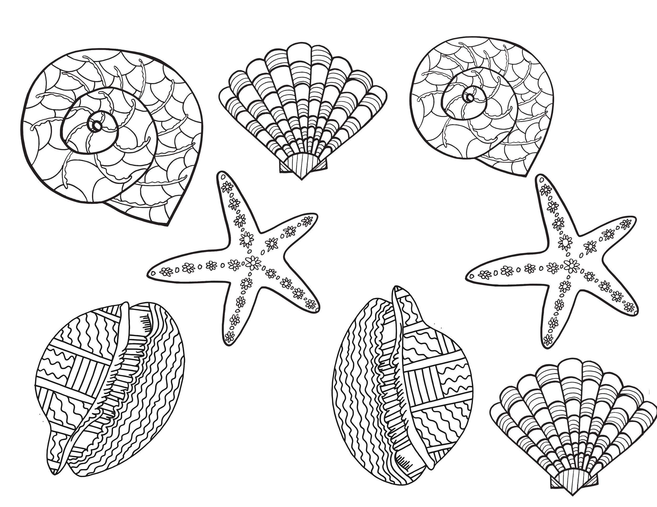 SHELLS Free Printable Coloring Page Stevie Doodles Free Printable Coloring Pages