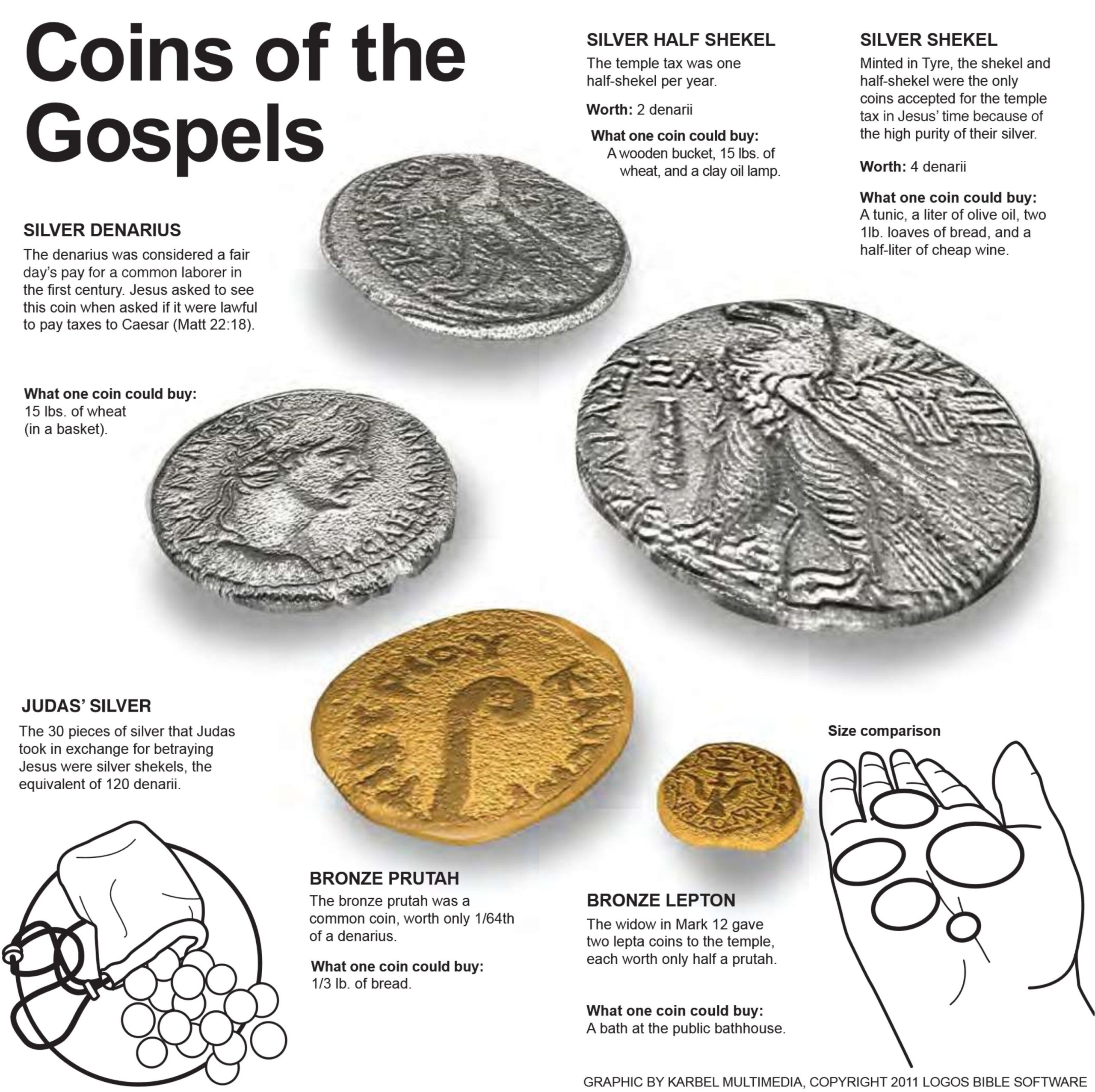 Silver Shekel Judas Silver Silver Half Shekel Silver Denarius Bronze Prutah Bronze