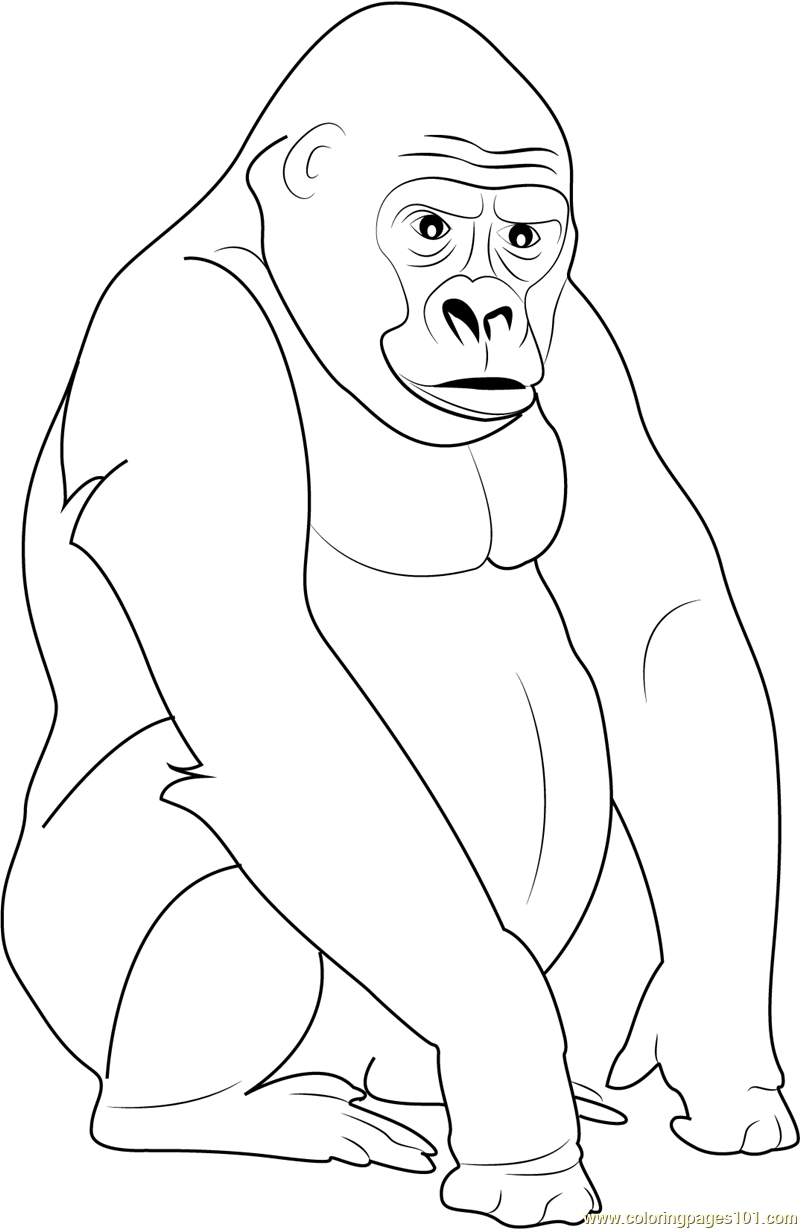 Gorilla Coloring Pages